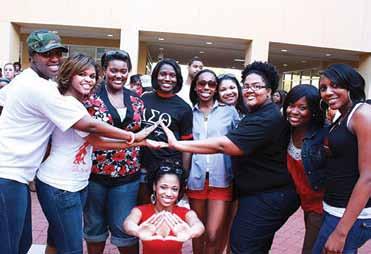 Frequently Asked Questions What is the IFC? NPHC? Panhellenic?