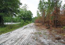 The community has an active recent wildfire history, including the 34,000 acre Impassable Bay Fire (2004) and the 4,800 acre Suwannee Road One Fire (2004), which burned into the community.