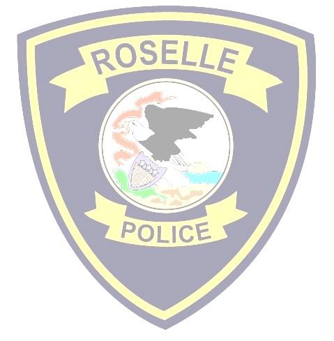 216 Police Officer of the Year I am very pleased to announce the Roselle Police Department Officer of the Year for 216 is Detective Robert Gates. Detective Gates was nominated by Officer Rachel Bata.
