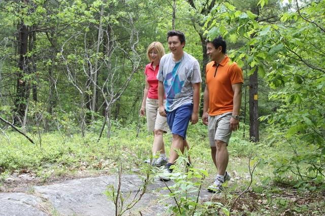 The Beaver Lake trail will take you through a low-laying hardwood forest typical of Central Ontario, as well as