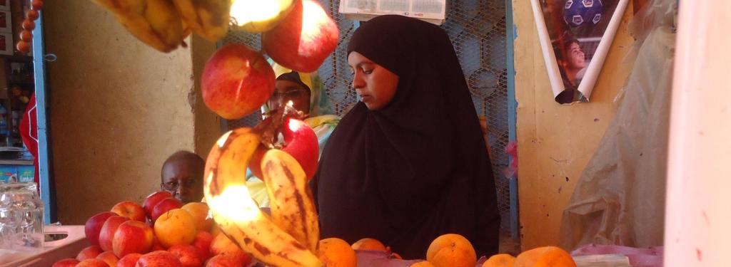 Grantee Duration Value Summary Somali Volunteer Youth Development Organization (SOVOYODO) 2015-2017 $229,528 Trainees: 180 Location: Bossaso Summary: Job skills for youth with focus on the following