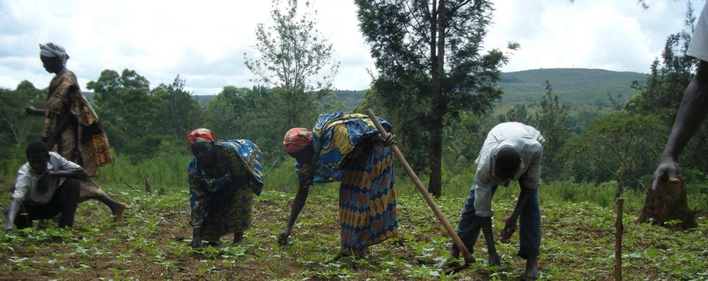 Grantee Duration Value Summary Cooperative Ruziba-Nyamakarabo 4024-BDI Association des Producteurs de Riz de Buramata VI (ASSOPRO Buramata) 4126-BDI 2015-2019 $222,800 Sector: Agro-Processing