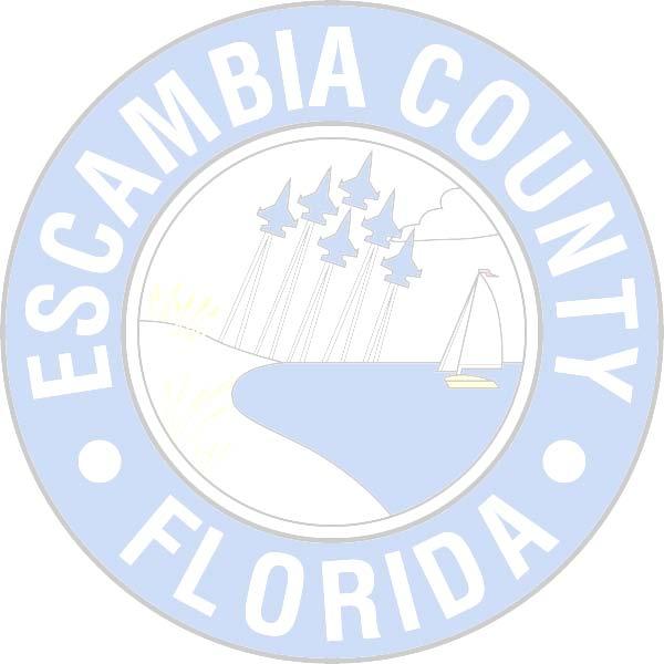 ESCAMBIA COUNTY VOLUNTEER PROGRAM BACKGROUND SCREENING FORM (Please Print) Last Name First Name Middle Please list all other names you have used (i.e. Alias, Maiden) 1. 2. 3. 4. 5. 6. 7. 8. 9. 10.