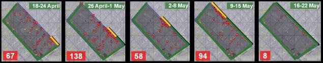 continuous operations: 24 April to 15 May Wall agitates the enemy JAM attacks to
