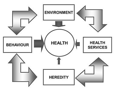 Azwar A Fig. 1 Four main health determinants Fig. 2 National Health Development Program 1. Eradicate extreme poverty and hunger (goal 1) 2. Achieve universal primary education (goal 2) 3.