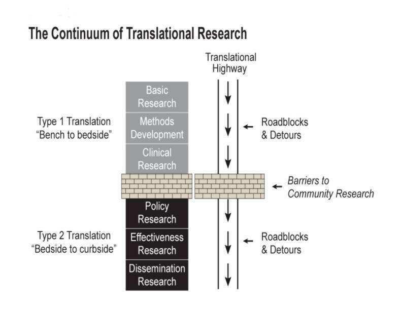 studies to the development of human trials ( bench to bedside ).