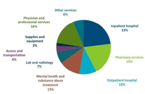 Medicaid spending by category of service for adults Snapshot: 2016 spending $1.