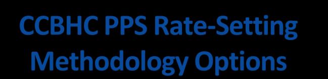CCBHC PPS Rate-Setting Methodology Options States will select one of two PPS rate methodologies