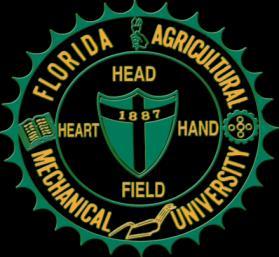 FAMU HOLMES SCHOLARS PROGRAM A Model of Support for Minority Doctoral Student