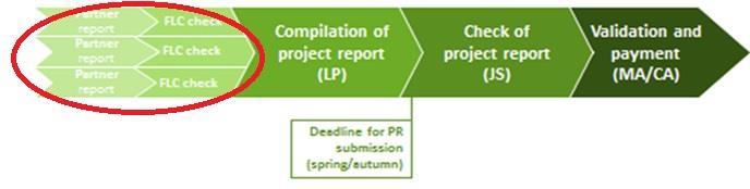 Project reports How?