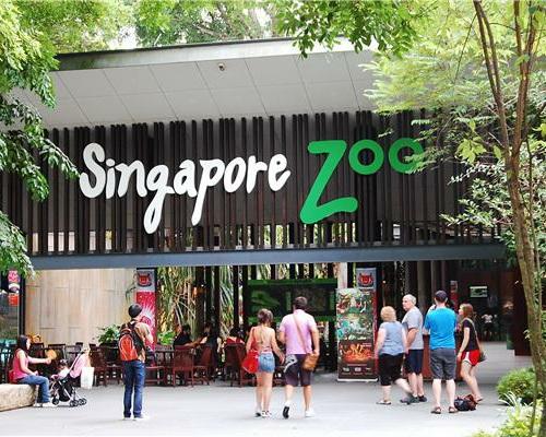 Page 23 of 30 SUNDAY - JULY 16 Singapore Zoo (optional) With more than 2800 animals and over 300 species Singapore Zoo is apparently the best