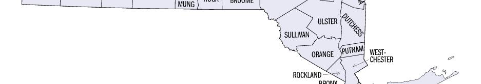 10% 8 Richmond County 53,550 12% 9 Orange County 39,738 12% 10 Monroe County 39,065 5%