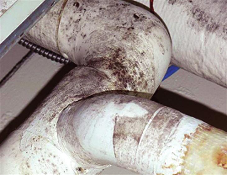 Figure 4: Leaking Pipes Caused Mold and Mildew Damage at Naval Amphibious Base Little Creek Source: GAO.