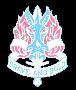 198 th Infantry Brigade Spousal Brief Brave and Bold 1-50 IN REGT.