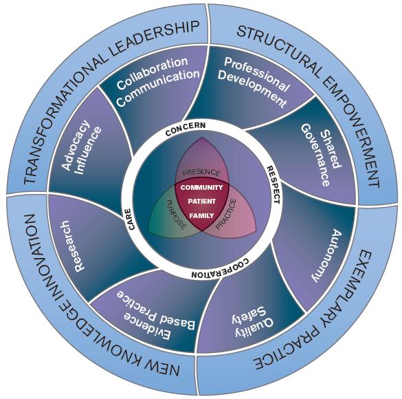 The professional Practice Model illustrates the alignment and integration of nursing practice with the mission, vision, philosophy, and values that nursing has adapted.
