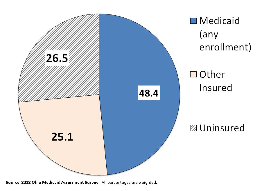 Insurance Coverage Low-Income Ohio women (19-44) 75 Statistically Significant Differences In the figures, letters indicate which groups are significant different from one another (p.05).