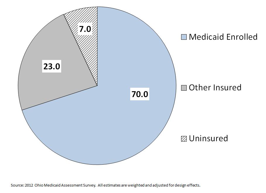 Insurance Coverage Low-Income