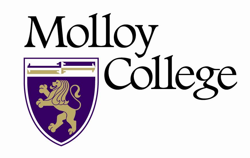 The Campaign for Molloy College Let Your Gift Lead The Way to The Public Square Buy-A-Brick Program A donation