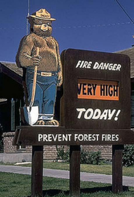 WE NEED FIRE PREVENTION In