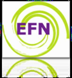 European Federation of Nurses Associations (EFN) EU lobby work Matters of common interest E-health Research