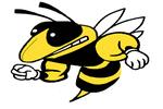 ONEONTA CITY SCHOOL DISTRICT REQUEST FOR PROPOSAL FOR INTERNAL AUDIT SERVICES Home of the Yellowjackets