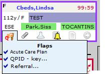 The flag turns orange when an active Acute Care Plan is present.