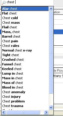 Clinicians can type in the Quick Search window and the problems and diagnosis terms