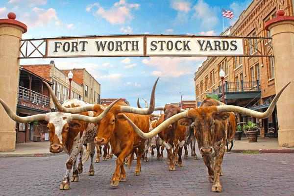 2 Fort Worth Fort Worth started in 1849 as a military base marking where the West begins. Native Americans were to remain west of the line tracing from Fort Worth down to the Rio Grande.