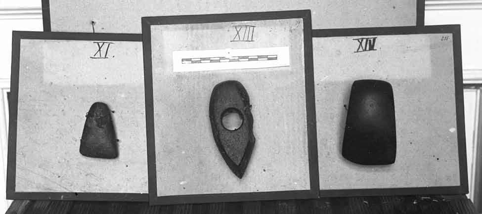 Grafų Keyserlingkų ir kitų Lietuvos dvarininkų archeologiniai rinkiniai Kuršo provincijos muziejuje 17 pav. Akmeniniai kirveliai iš Borisovo (Minsko gub.) (XI), Krustkalno (Embūtės pag.