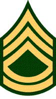 PROMOTION POTENTIAL INDICATORS Leadership Position Professionally Developing Assignment Platoon Sergeant BEST QUALIFIED Consider the Armor NCO Best