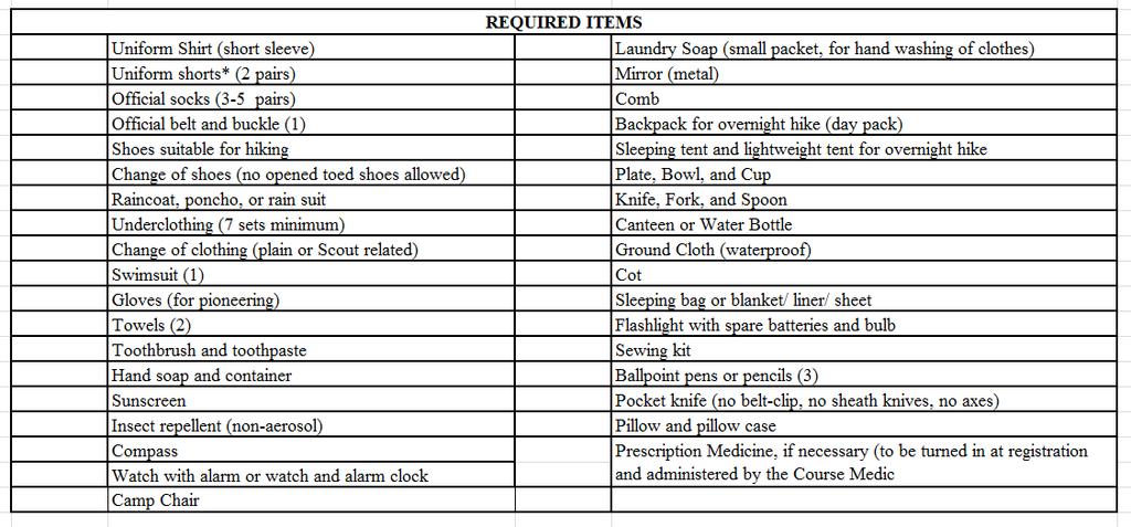 NYLT Personal Equipment Checklist ONLY THE OFFICIAL BSA UNIFORM SHIRT, SHORTS or PANTS, AND SOCKS ARE ACCEPTABLE. Be prepared for an overnight hike and camp, as well as living in camp.