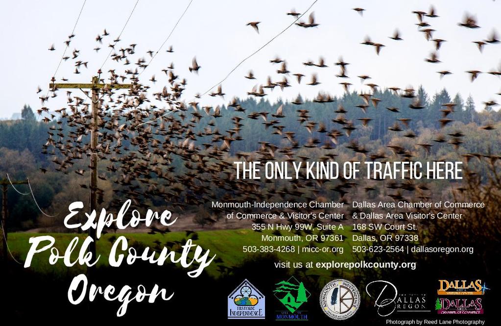 campaign that celebrates local ingredients and flavor, a Wings and Wine marketing campaign promoting birdwatching & wine tasting, and a mountain bike shuttle festival at Black Rock Mountain Bike Area.