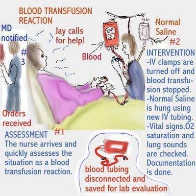 Observations associated with transfusion reaction include: Shivering Rashes Flushes Shortage of