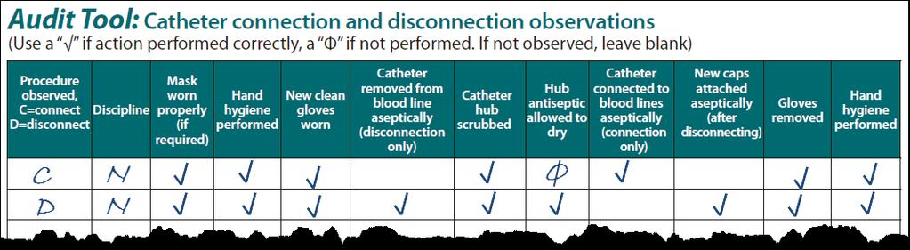How to Use the Catheter Tool -Example Each audit includes multiple observations.