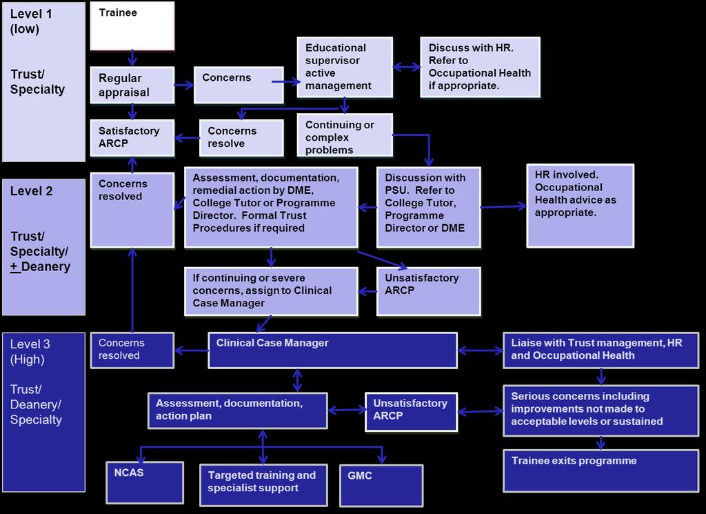 Overview of Process The flowchart below gives an overview of processes across the three levels of concern.