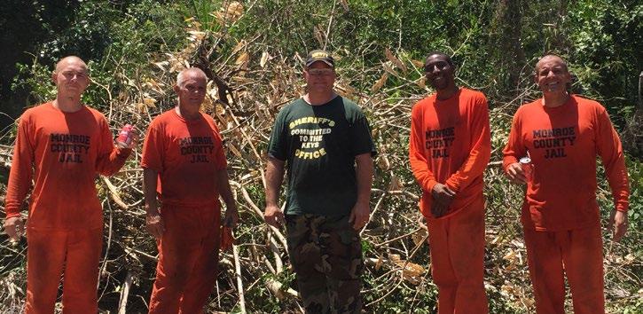 Lt. Sheagren and his crew of inmate workers gave the Wild Bird Center some assistance today with clearing space for the future relocation