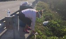 She saw Deputy Caridad Calloway picking up trash on the Long Key Bridge and stopped to help.