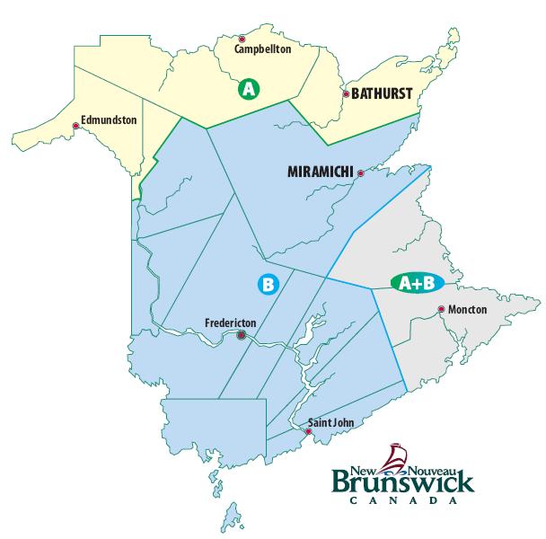 5 The New Brunswick