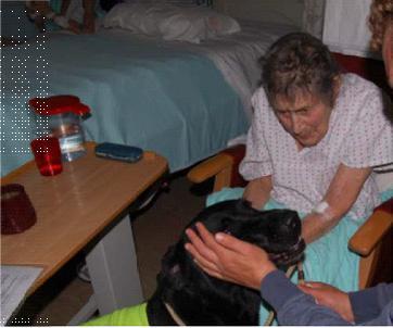 Pets as Therapy Our wonderful PAT volunteers, Adem and Anna, and their