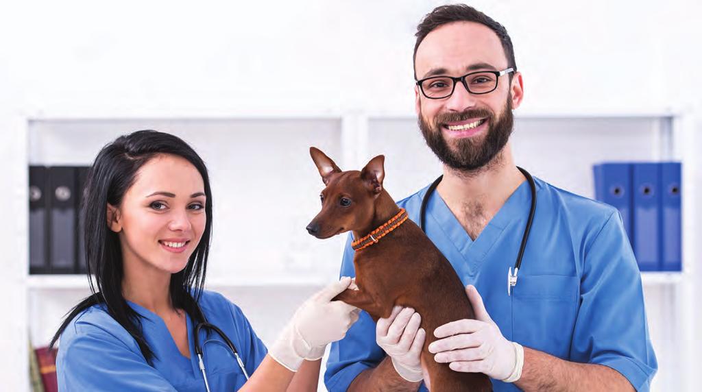 ACM50512 Diploma of Veterinary Nursing (General Practice) Want to enhance your management skills? Have you got ACM40412 Certificate IV Veterinary Nursing?