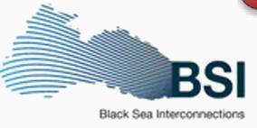 Research Infrastructure Policy and Collaboration - Example Project: Black Sea Interconnection(BSI) Coordinator: TURKIYE BILIMSEL VE TEKNOLOJIK ARASTIRMA KURUMU, Turkey Summary: Bridging the digital