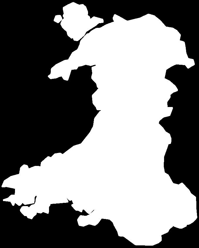 Welsh Healthcare Population 2.