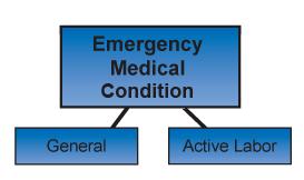 3011 Features of an EMC Remember: An MSE must be complete enough to find out whether the patient has an emergency medical