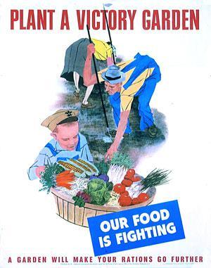 Victory Gardens Labor and transportation shortages made it hard to harvest and move fruits and vegetables to market.