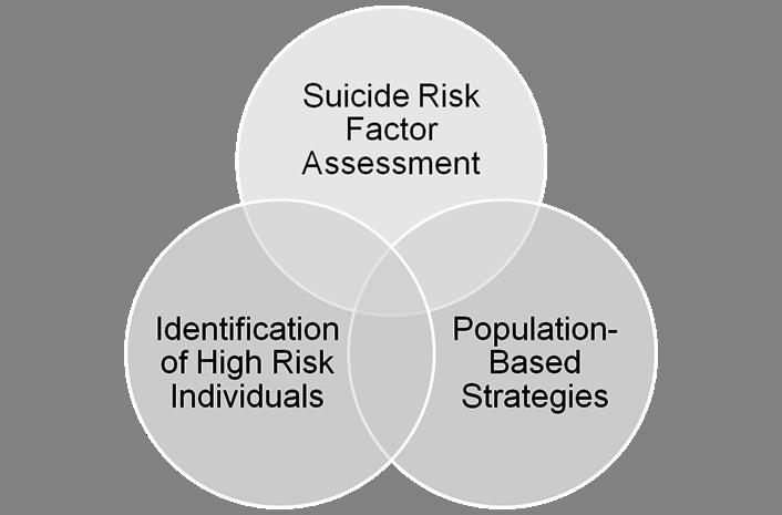 Multi-dimensional Suicide Prevention Strategy Strategic Analysis Cell NIMH