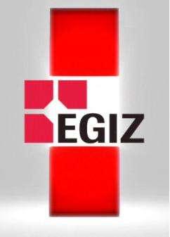 egovernance ICT in the public sector is like a large vessel Federal Government Digital Austria it