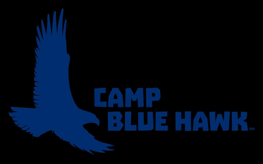 Counselor-In-Training Application Position Description: Serving as a Camp Blue Hawk Counselor-In-Training (CIT) provides young adults, ages 18 21 years old at the time of camp, the opportunity to get
