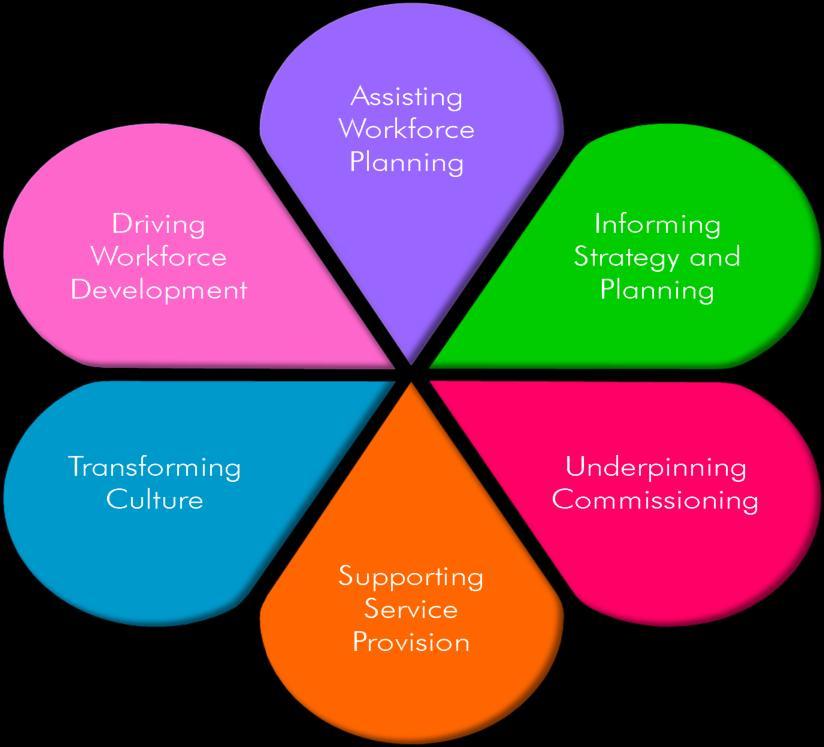 Impact and Evaluation Informing Strategy and Planning Underpinning Commissioning Supporting Service Provision Transforming Culture Driving Workforce Development Creating a national workforce able to