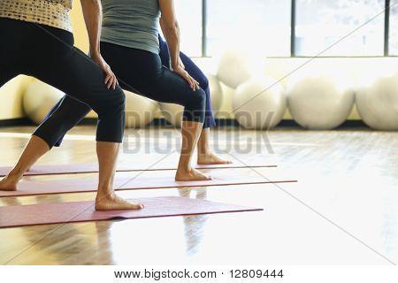 2017 PROGRAMS FULL BODIED YOGA AGE 12+ LOCATION: Doran Stewart Fitness Centre A yoga class that is body positive for anyone who identifies as full-bodied/full-figured.
