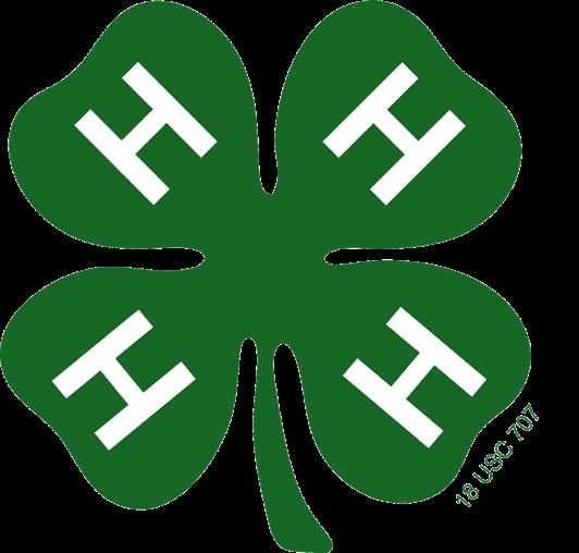 Guidelines for Assembling the Tennessee 4-H Project Achievement Portfolio FEBRUARY 2018 F851 The 4-H project achievement portfolio is for 4-H members who wish to be recognized in peer competition for